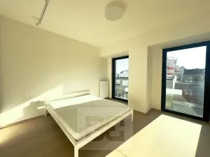 Pronájem bytu 2+kk, Praha - Holešovice, V háji, 58 m2