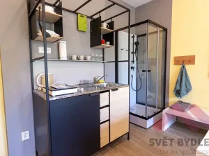 Pronájem bytu 1+kk, Praha - Vršovice, Tolstého, 28 m2