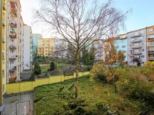 Pronájem bytu 2+1, Brno, Merhautova, 42 m2