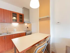 Pronájem bytu 1+kk, Olomouc, Na Tabulovém vrchu, 42 m2