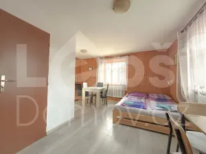 Prodej ubytování, Zlaté Hory, 330 m2
