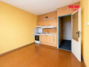 Prodej bytu 1+1, Litvínov - Horní Litvínov, Čapkova, 36 m2