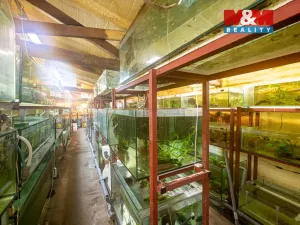 Pronájem obchodního prostoru, Senohraby, Hlavní, 64 m2