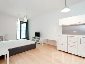 Pronájem bytu 1+kk, Praha - Žižkov, Olšanská, 43 m2
