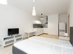 Pronájem bytu 1+kk, Praha - Žižkov, Olšanská, 43 m2