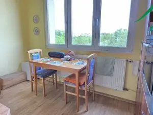 Pronájem bytu 3+1, Tachov, Bělojarská, 82 m2