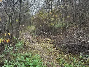 Prodej chalupy, Brno, Vinohrady, 150 m2