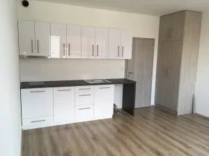 Pronájem bytu 1+kk, Brno, Vranovská, 26 m2