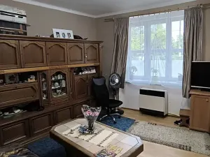 Prodej bytu 1+1, Cheb, Na Hradčanech, 55 m2