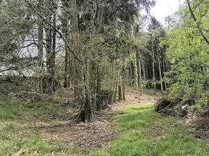 Prodej pozemku, Lipová, 927 m2