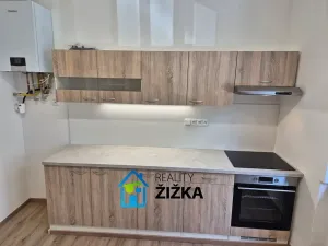 Pronájem bytu 1+1, Brno, Burešova, 47 m2