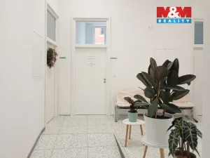 Prodej obchodního prostoru, Opava - Město, Masarykova třída, 120 m2
