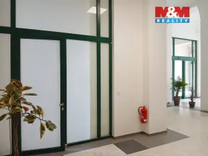 Prodej obchodního prostoru, Opava - Město, Masarykova třída, 60 m2