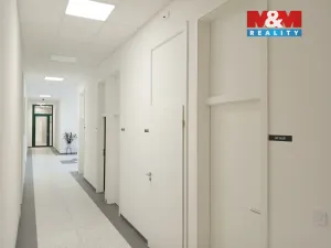 Prodej obchodního prostoru, Opava - Město, Masarykova třída, 200 m2