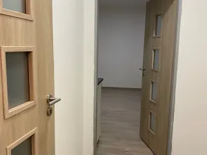 Pronájem bytu 1+kk, Brno, Křenová, 20 m2