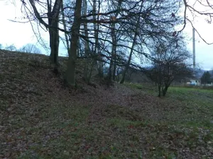 Dražba louky, Cvikov, 1017 m2