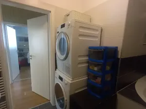 Prodej bytu 2+kk, Praha, Pod Formankou, 54 m2