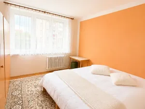 Prodej bytu 2+1, České Budějovice, J. Buděšínského, 52 m2