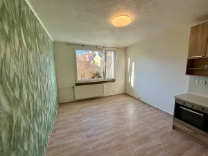 Pronájem bytu 1+1, Nýrsko, Práce, 40 m2