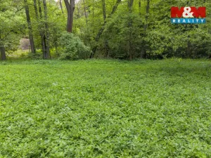 Prodej lesa, Červené Pečky - Bohouňovice I, 491 m2