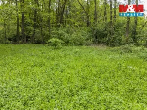 Prodej lesa, Červené Pečky - Bohouňovice I, 491 m2