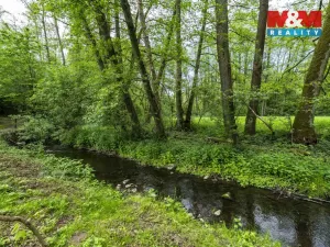 Prodej lesa, Červené Pečky - Bohouňovice I, 491 m2