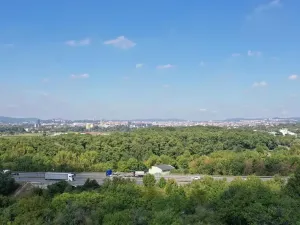 Prodej zahrady, Brno, 319 m2