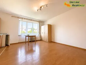 Pronájem bytu 1+kk, Ostrava, Krakovská, 27 m2
