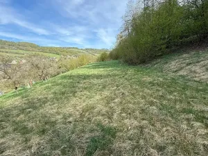 Prodej pozemku pro bydlení, Bušín, 3553 m2