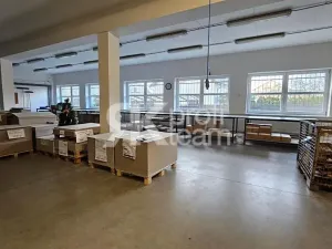 Prodej činžovního domu, Opava, Slezská, 1300 m2