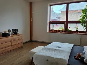 Prodej rodinného domu, Ostrava, Zengrova, 397 m2
