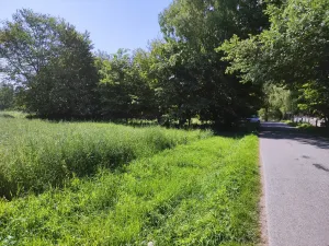 Prodej pozemku, Černovice - Panské Mlýny, 4180 m2