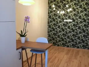 Pronájem bytu 2+kk, Jihlava, Třebízského, 42 m2