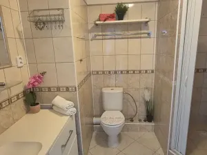Prodej bytu 1+1, Turnov, Přepeřská, 35 m2