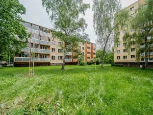 Prodej bytu 3+1, Karviná, U Lesa, 62 m2