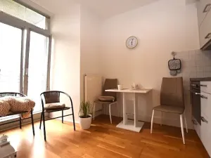 Pronájem bytu 1+kk, Dobříš, U Pivovaru, 30 m2
