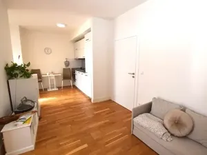 Pronájem bytu 1+kk, Dobříš, U Pivovaru, 30 m2