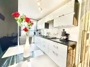 Prodej bytu 2+1, Český Těšín, Mánesova, 53 m2