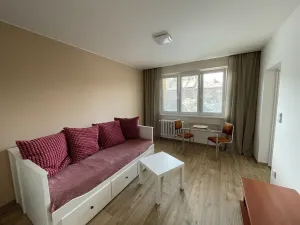 Pronájem bytu 1+kk, Brno, Vídeňská, 27 m2