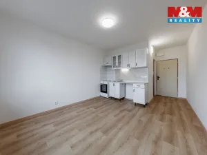 Prodej bytu 1+kk, Horní Slavkov, U Lesoparku, 19 m2