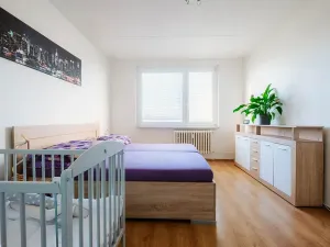 Pronájem bytu 2+1, Třebíč, Fr. Hrubína, 54 m2