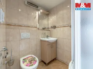 Prodej rodinného domu, Písková Lhota, 160 m2