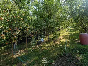 Prodej rodinného domu, Skalice nad Svitavou, 84 m2