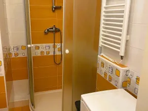 Pronájem bytu 1+kk, Písek, 17. listopadu, 19 m2
