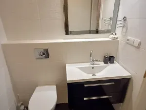 Pronájem bytu 1+kk, Praha - Podolí, Brabcova, 44 m2