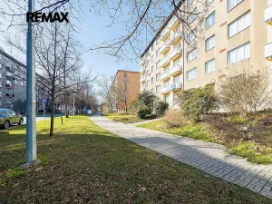 Prodej bytu 2+1, Praha - Žižkov, Pod lipami, 53 m2