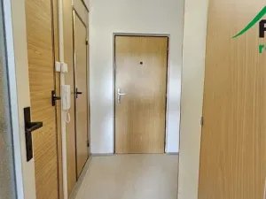 Prodej bytu 1+1, Tachov, Korandova, 39 m2