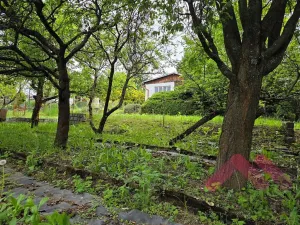 Pronájem chaty, Praha - Dejvice, Na Pučálce, 21 m2