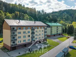Prodej bytu 1+kk, Velké Hamry, 19 m2