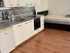 Pronájem bytu 1+kk, Praha - Nusle, Bartoškova, 36 m2